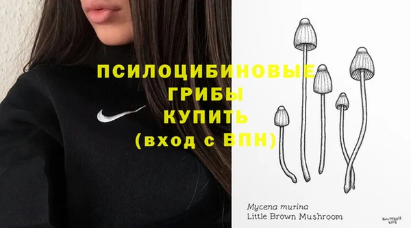 кристаллы Ельня