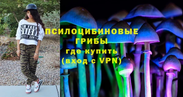 СК Видное
