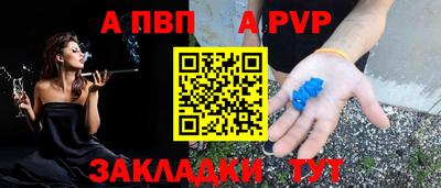 СК Новодвинск