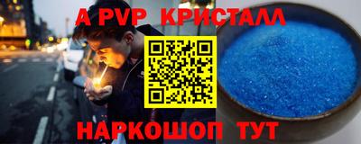 СК Новодвинск