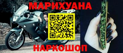 СК Новодвинск