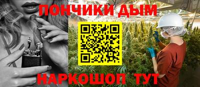 СК Новодвинск