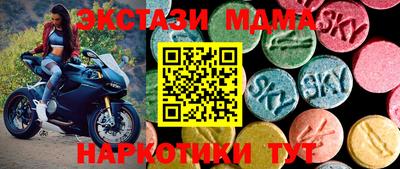 СК Новодвинск