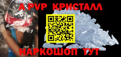 СК Новодвинск