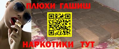 СК Новодвинск
