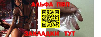 СК Новодвинск