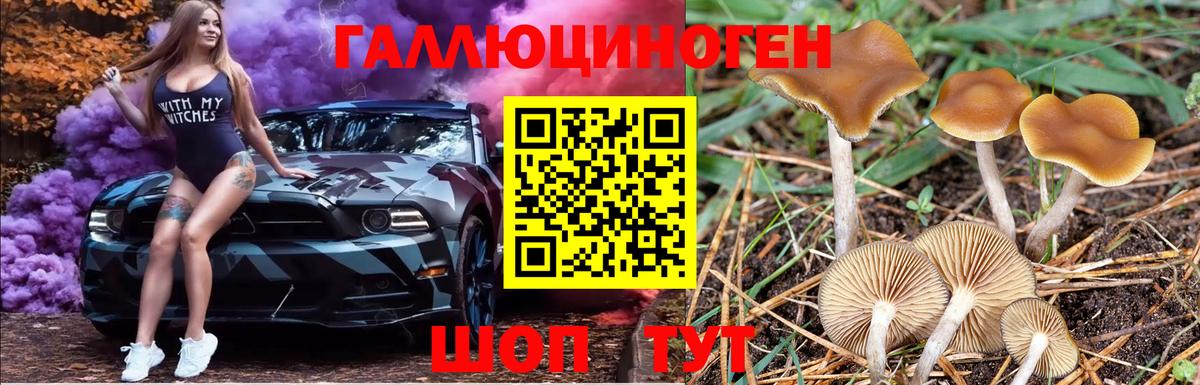Псилоцибиновые грибы мицелий  Вход с VPN  Светлоград 