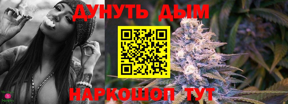 Бошки Шишки марихуана Светлоград